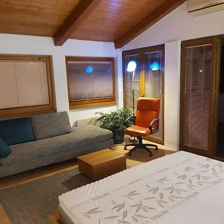 Delfar Penthouse * ロヴィニ